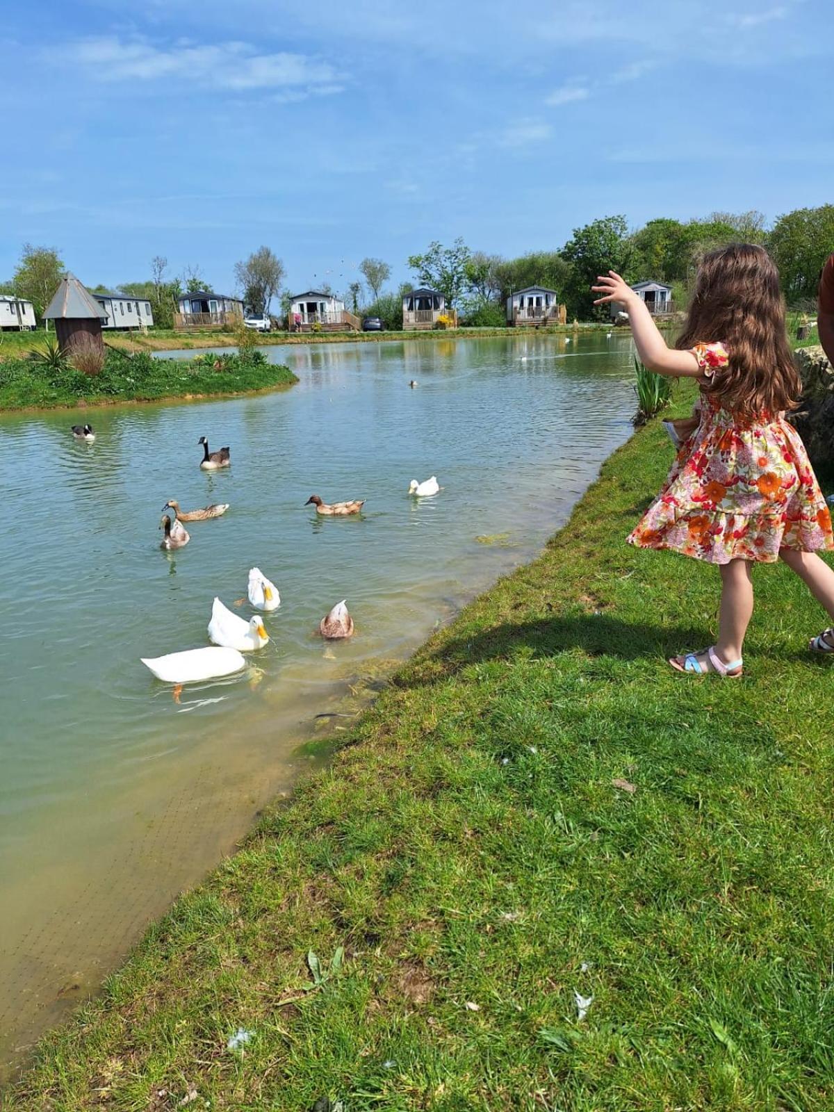 Beautiful 2 Bedroom Caravan, Holiday Park Tenby Saint Florence Exterior foto